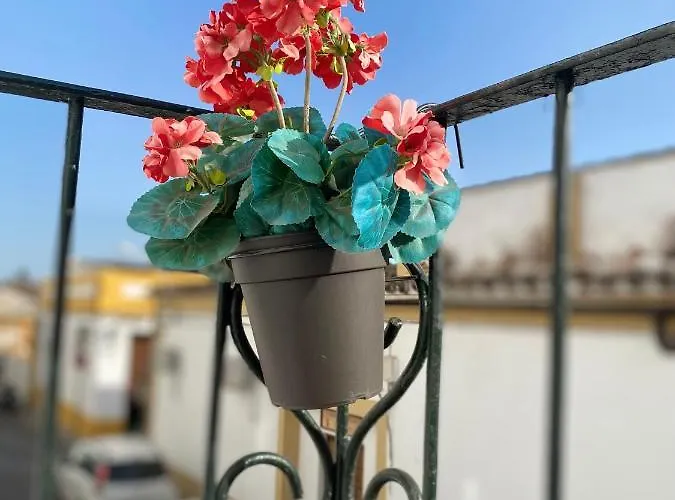 Apartamento Loft Jerez Buleria